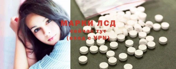 ГАЛЛЮЦИНОГЕННЫЕ ГРИБЫ Баксан