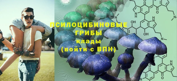 крисы Аркадак
