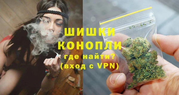 ГАЛЛЮЦИНОГЕННЫЕ ГРИБЫ Баксан